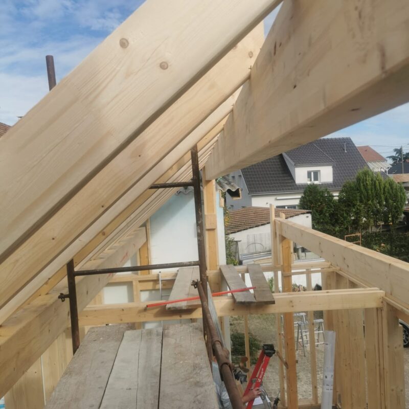 Extensions bois Riedisheim 15